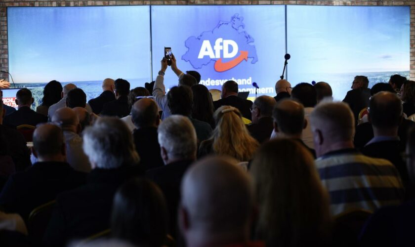 Schwerin: AfD-Landtagsabgeordneter in Mecklenburg-Vorpommern angegriffen