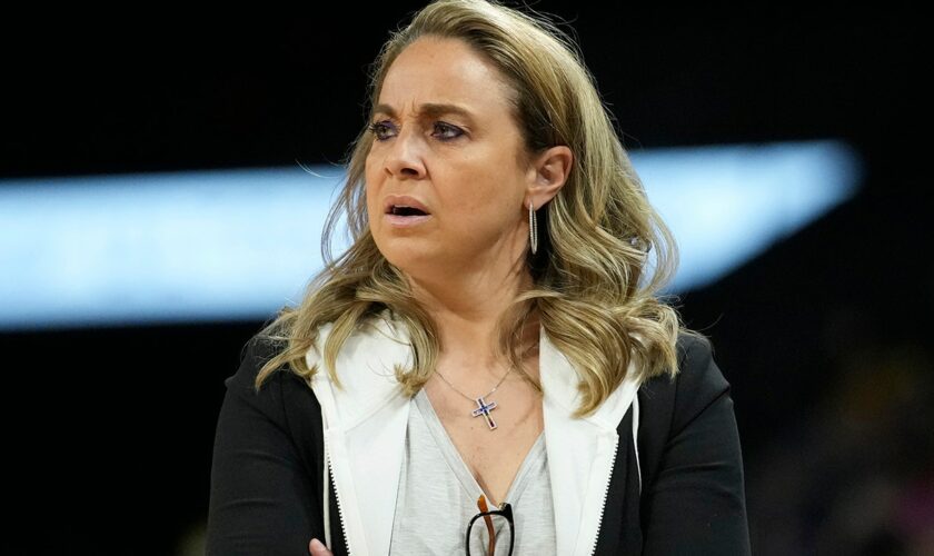 WNBA coach says 'greatness' of Black and brown people not 'celebrated' as much as those who are White