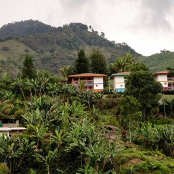 “J’ai ouvert une maison d’hôte à l’autre bout du monde”