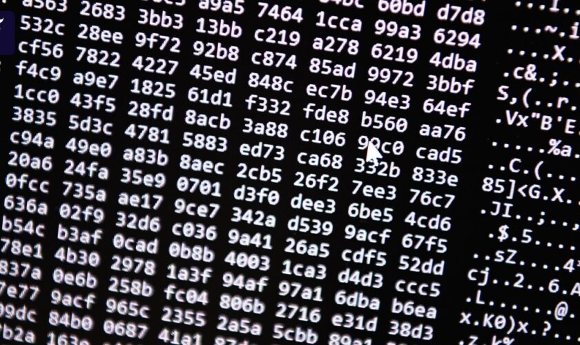 Internationaler Schlag gegen Cyberkriminalität