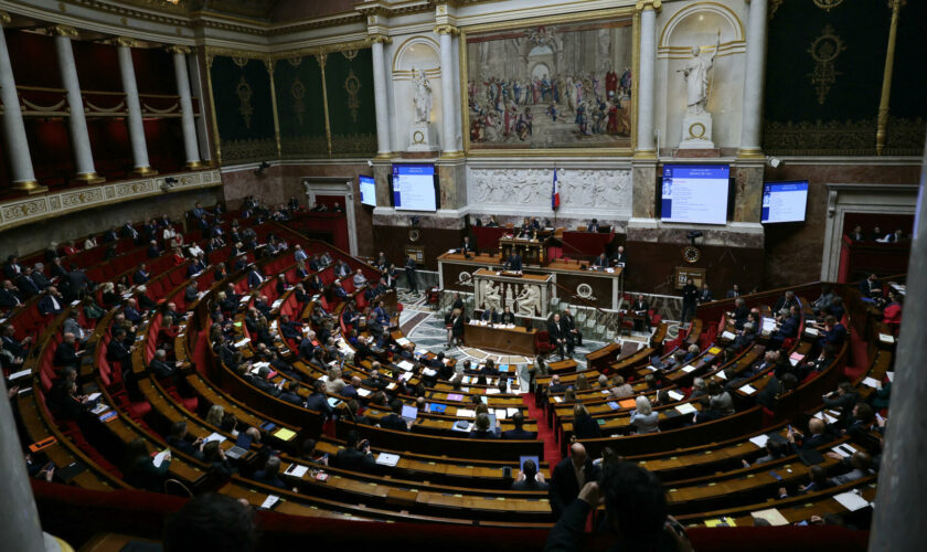 Ceta : l’Assemblée demande à se prononcer sur le traité de libre-échange, et ça tombe mal pour le gouvernement