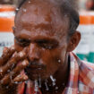 L’Inde et le Pakistan fondent sous la canicule, avec des pics à 50 °C