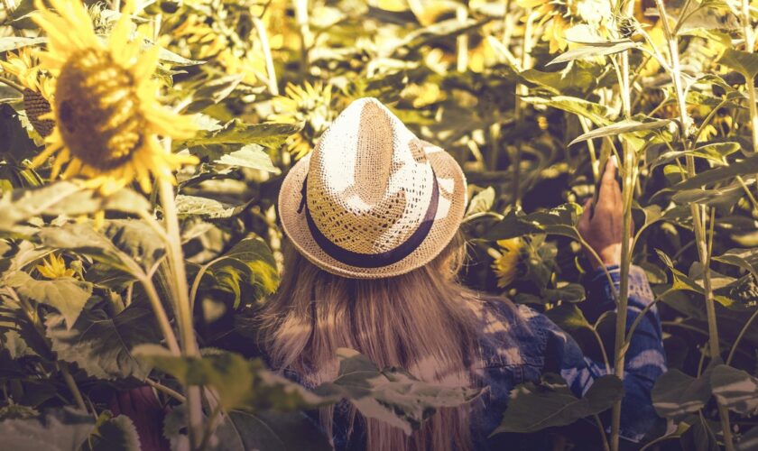 Cinq idées d'activités gratuites ou peu coûteuses pour s'amuser cet été