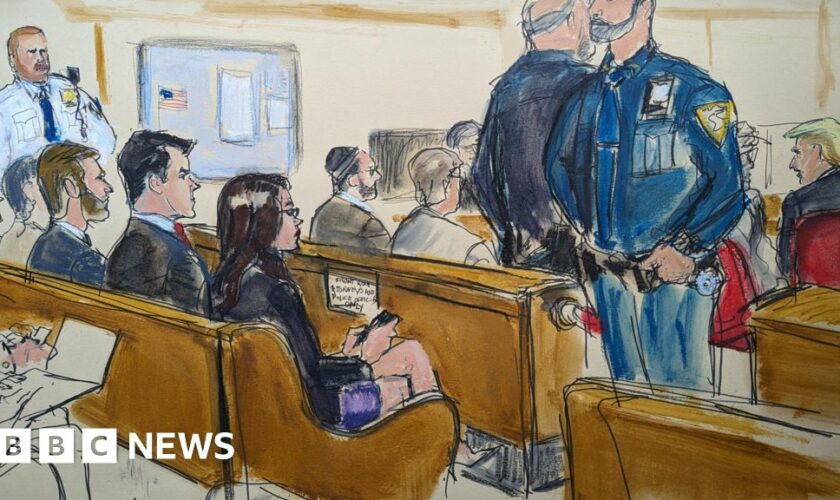 Veteran sketch artists never seen a trial like Trump's