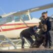 Alaska man, police officers rescue baby moose from 'sure demise' after getting stuck in a lake