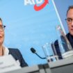 AfD plant offenbar Gründung ihrer eigenen Fraktion im EU-Parlament