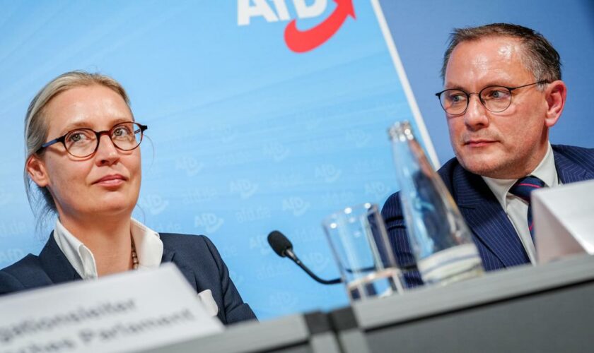 AfD plant offenbar Gründung ihrer eigenen Fraktion im EU-Parlament