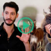 Pierre Niney nous a parlé de son âne miniature, « plus affectueux » que ses chats et chiens