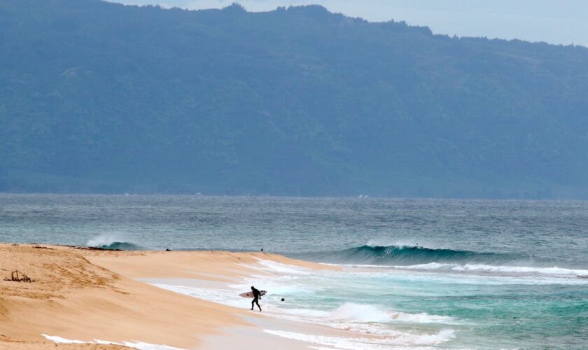 Hawaii lifeguard dies in shark attack while surfing off Oahu