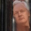 Deal mit US-Justiz – Julian Assange bekennt sich schuldig und soll frei kommen