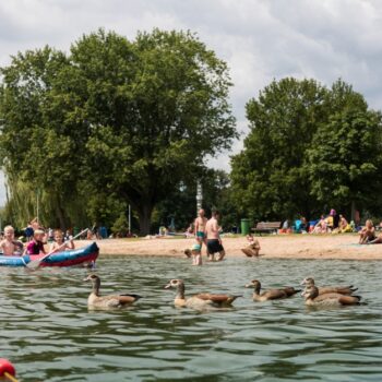 Wissenswertes für eine Abkühlung an hessischen Badeseen