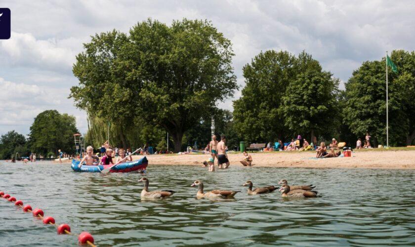 Wissenswertes für eine Abkühlung an hessischen Badeseen