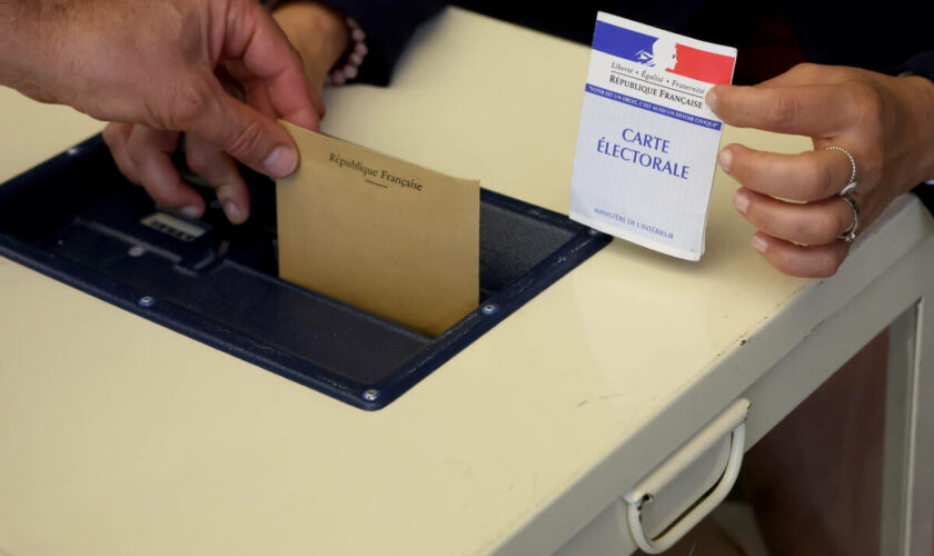 Législatives 2024 : dix articles à lire avant de voter