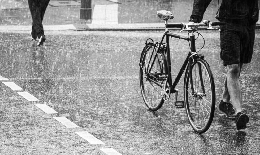 Hamburgs Imagewechsel: Wie Hamburg Fahrrad fahren lernt