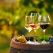 Three glasses with white, rose and red wine on a wooden barrel in the vineyard. Wide photo