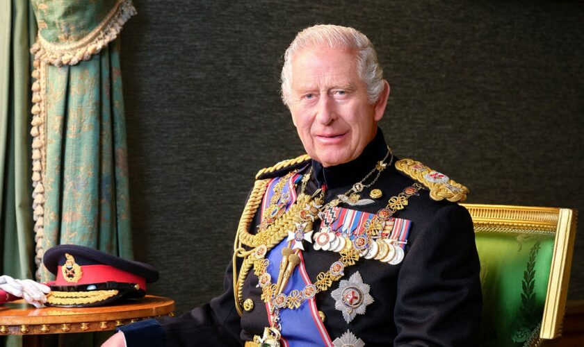 Military portrait of King Charles released by palace to commemorate Britain's Armed Forces Day