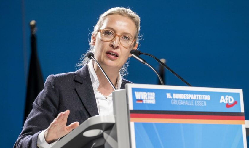 AfD: Weidel kann sich Beitritt zum neuen EU-Rechtsbündnis vorstellen