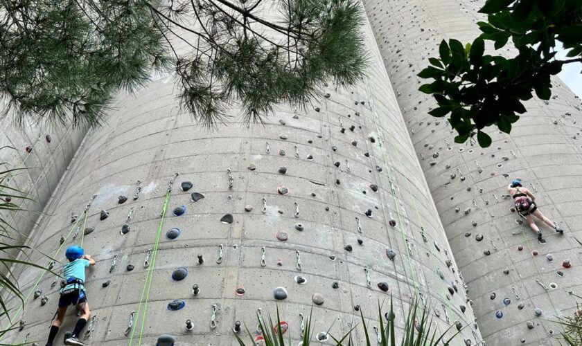 À Bordeaux, des silos à grains de 33 mètres de hauteur transformés en mur d’escalade