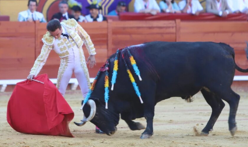 Cátedra de Enrique Ponce en Algeciras: estiloso ante la dulzura y poderoso frente a la casta