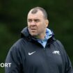 Michael Cheika working as Argentina head coach