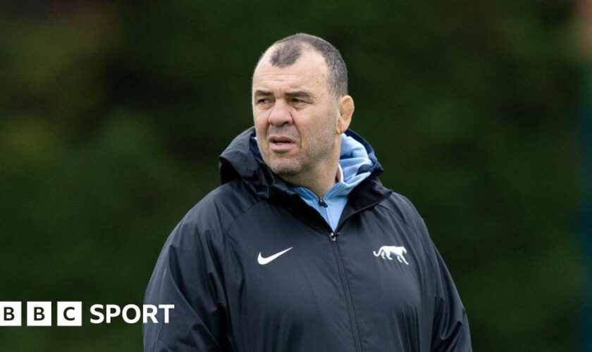 Michael Cheika working as Argentina head coach