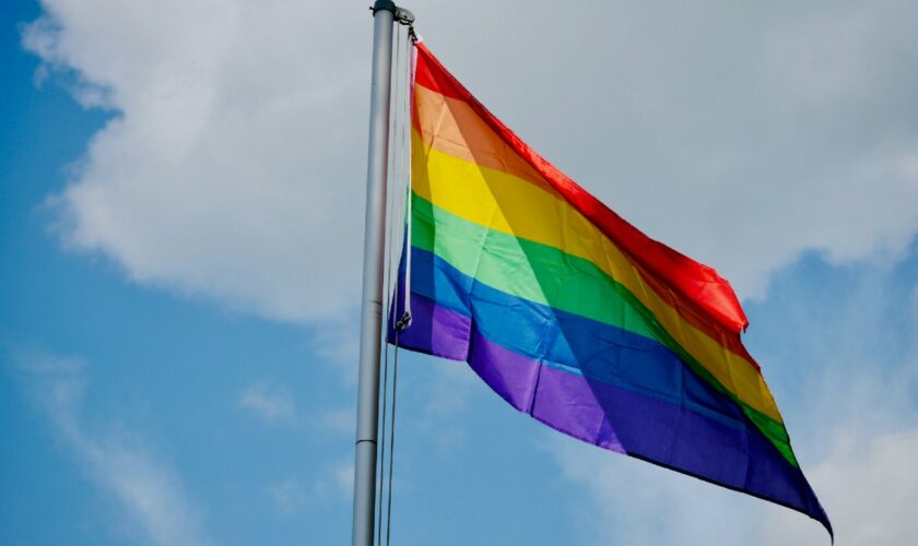 Depuis quand le drapeau arc-en-ciel est-il un symbole LGBT+?