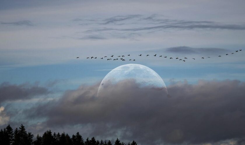 Drei Theorien: Geheimnisvoller Erdtrabant – woher kommt der Mond eigentlich?