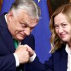 Giorgia Meloni et Viktor Orban affichent leur bonne entente