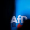 AfD-Logo