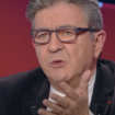 Le Nouveau Front Populaire engage un vétérinaire spécialisé dans les grands fauves pour endormir Jean-Luc Mélenchon jusqu’au second tour