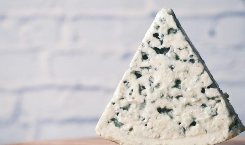 Le fromage rend heureux, c'est désormais scientifiquement prouvé