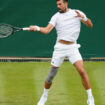 Novak Djokovic « sans douleur » à trois jours de Wimbledon : « Mon chirurgien, le MVP des dernières semaines »