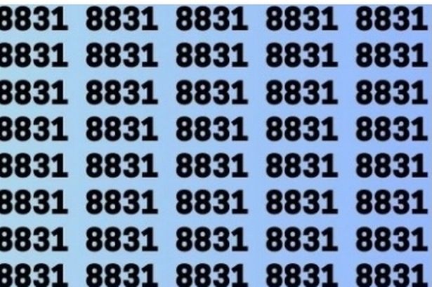 Only those with eagle eyes can spot the number 8881 in a sea of 8831s in 12 seconds