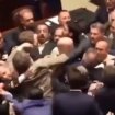 Pelea en el Parlamento italiano: un diputado de la Liga da un puñetazo a otro del Movimiento 5 Estrellas