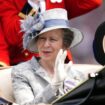 Princess Anne 'unable to recall what happened' after 'horse hit her on the head'