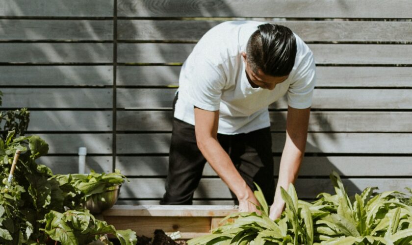 Voici pourquoi le jardinage est si bon pour le corps et l'esprit