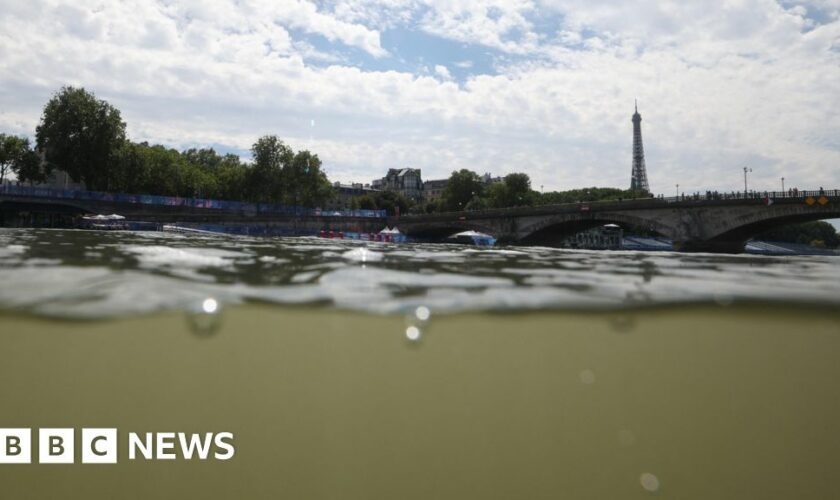 ‘It doesn’t look that bad’: Would you swim in the Seine?