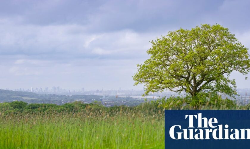 ‘Really special’: Farm near London to be rewilded to enable new housing in Essex