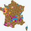 Législatives 2024 : les résultats complets du premier tour dans votre ville et dans les 577 circonscriptions