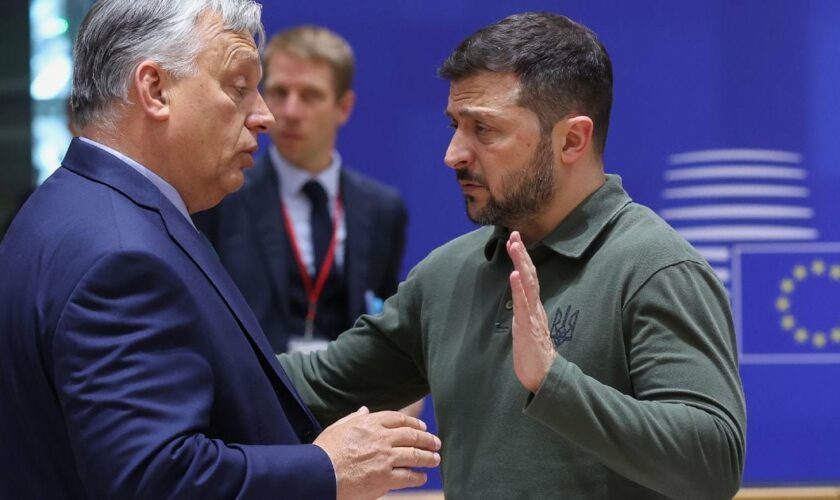 Le Premier ministe hongrois Viktor Orban et le président ukrainien Volodymyr Zelensky lors du sommet du Conseil européen à Bruxelles, le 27 juin 2024