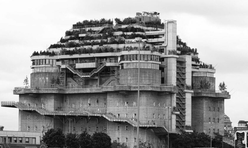 Feldstraßenbunker: Grüner Bunker: wenn wilde Ideen wahr werden