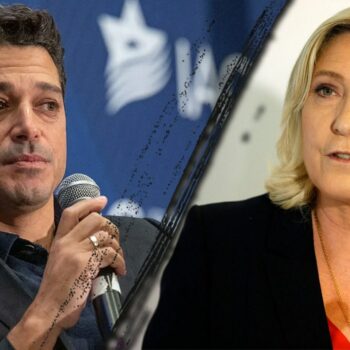 Israeli Minister touts Marine Le Pen as 'excellent' option for French president: 'with 10 exclamation marks'