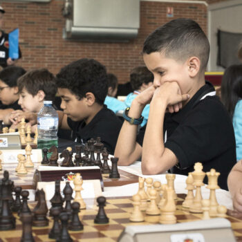 A l’école des petits champions d’échecs : « Il ne faut pas vendre la peau de l’ours avant de l’avoir maté »