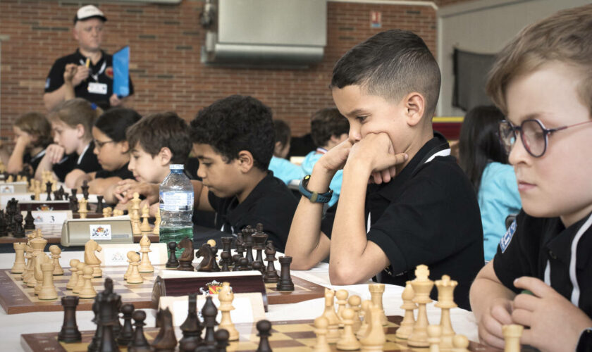 A l’école des petits champions d’échecs : « Il ne faut pas vendre la peau de l’ours avant de l’avoir maté »