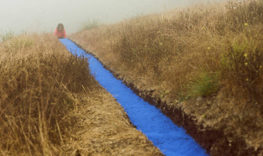 Lita Albuquerque, l’artiste qui voit la ligne en bleu