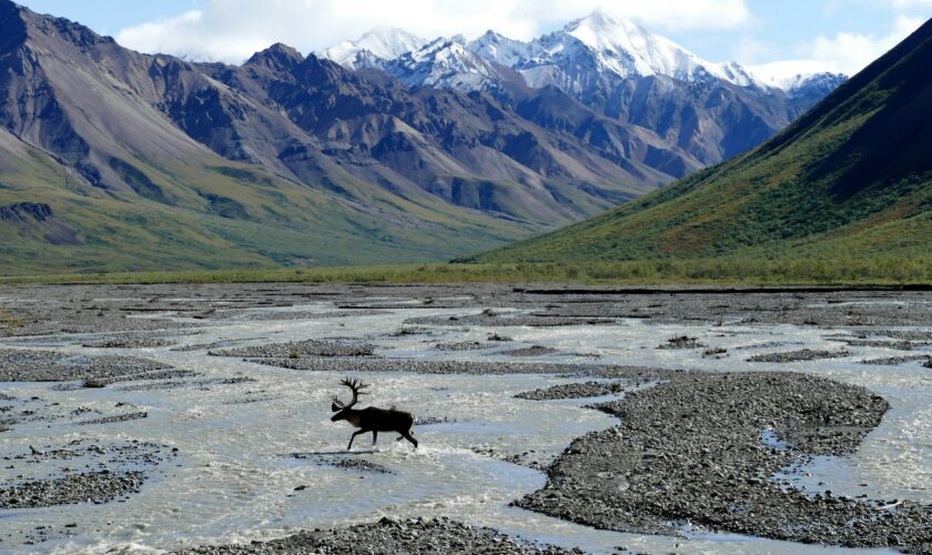 La fonte de certains glaciers d'Alaska ne tardera pas à être irréversible