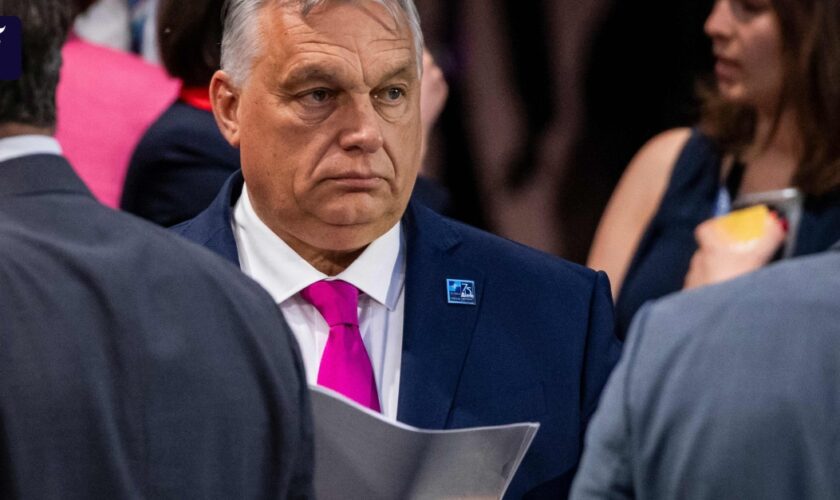 Vor Besuch bei Trump: EU-Staaten gehen auf Distanz zu Orbán