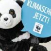 WWF kämpft offenbar mit massiven Finanzproblemen