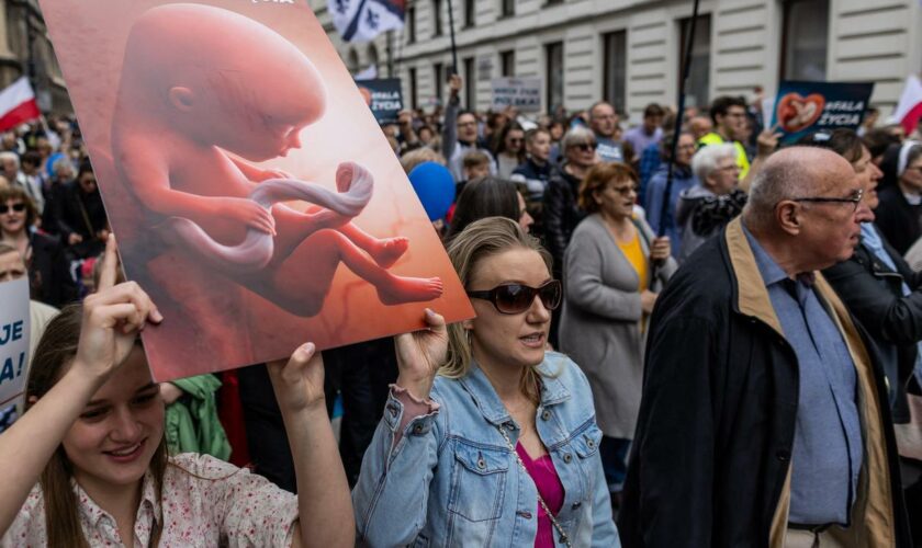 Schwangerschaftsabbruch: Polens Regierung scheitert mit Reform zur Stärkung von Frauenrechten