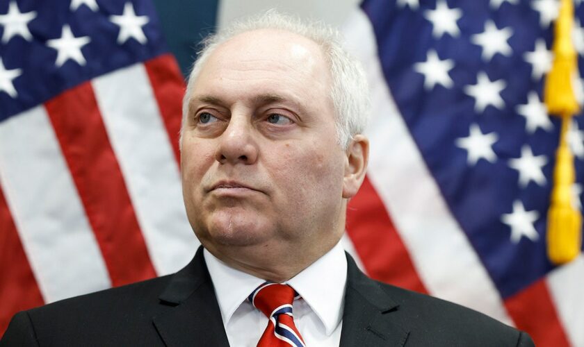 Steve Scalise: The left's 'hyper-charged,' violent rhetoric 'needs to stop'